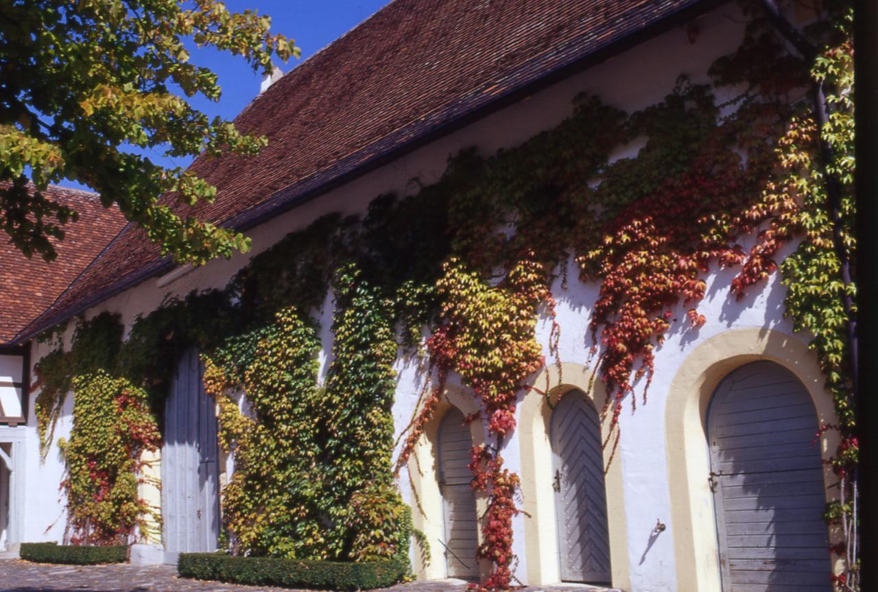 Markgraeflich Badischer Gasthof Schwanen Salem  Ngoại thất bức ảnh