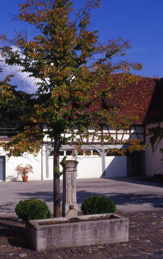 Markgraeflich Badischer Gasthof Schwanen Salem  Ngoại thất bức ảnh